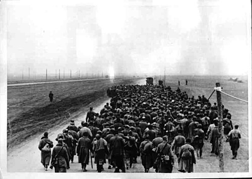 Crimean Campaign (1941–1942)